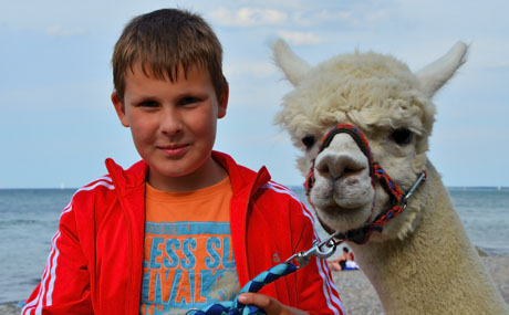 tl_files/Therapie auf vier Beinen/01_images/03_die_tiere/03_die_tiere_basti.jpg